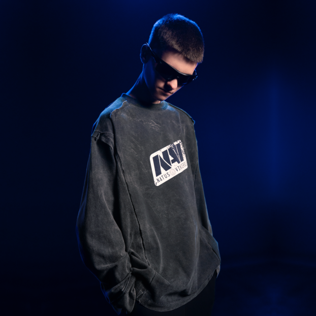 Grey Vintage Longsleeve NAVI x LITKOVSKA 2.0