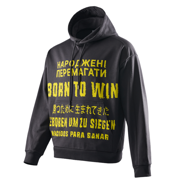 Grey Hoodie Born to win NAVI x LITKOVSKA 2.0