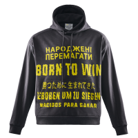 Grey Hoodie Born to win NAVI x LITKOVSKA 2.0