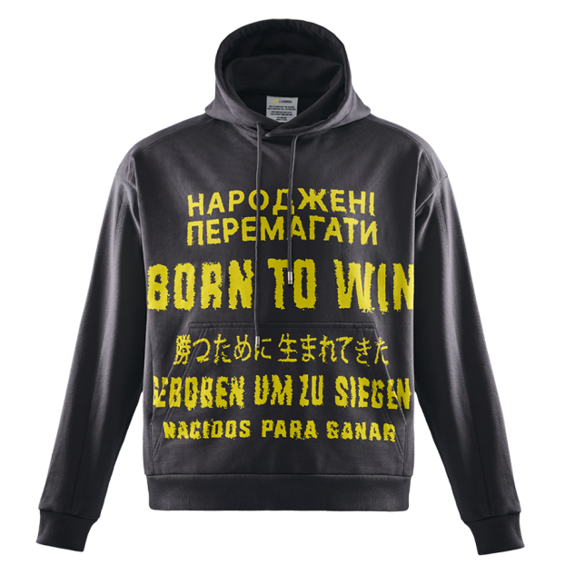Grey Hoodie Born to win NAVI x LITKOVSKA 2.0