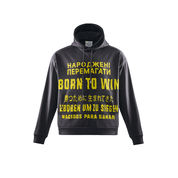 Grey Hoodie Born to win NAVI x LITKOVSKA 2.0