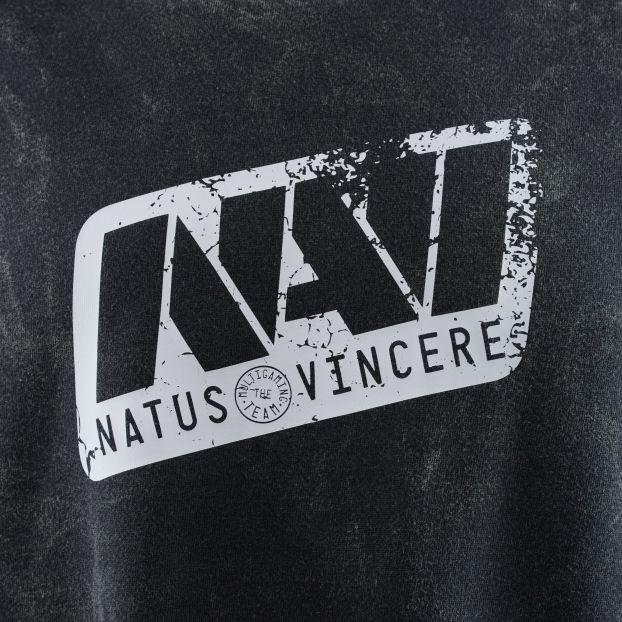 Grey Vintage Longsleeve NAVI x LITKOVSKA 2.0