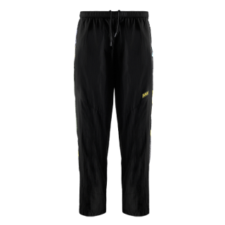 Штани ігрові NAVI 2026